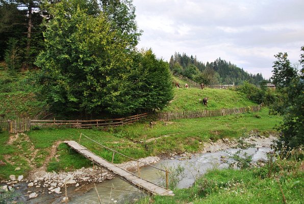 29_Pojana Mikuli